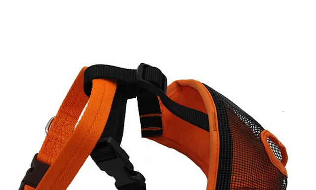 Rọ mõm chó Bull Pháp - rọ mõm lưới chất lượng cao